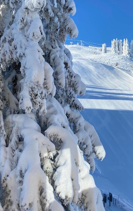 Olimpik House Jahorina Villa Eksteriør bilde